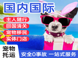 上海浦东空运地址国际宠物托运 【国
